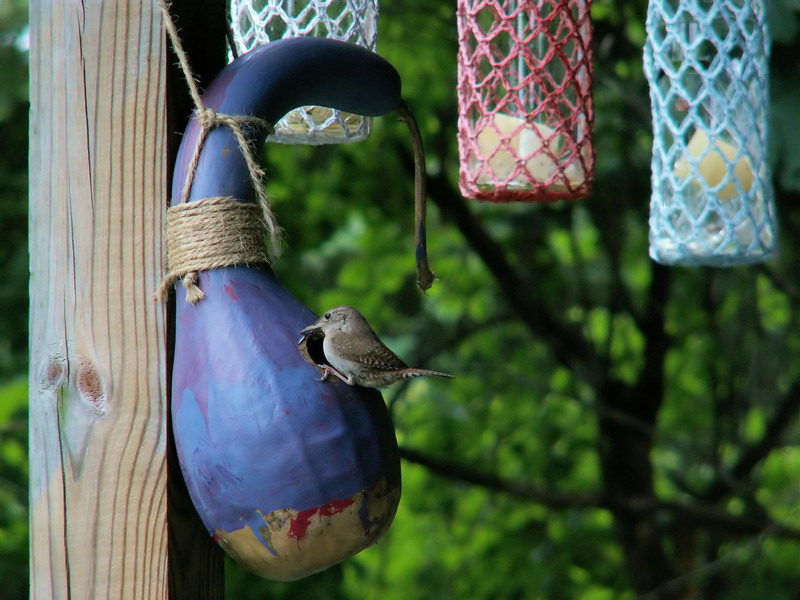 Understanding What a Builders Skip Is and Its Impact